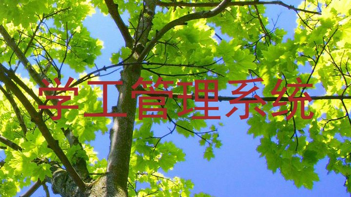 学工管理系统