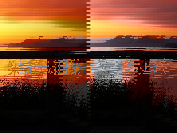 统一身份认证系统