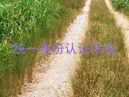 统一身份认证系统
