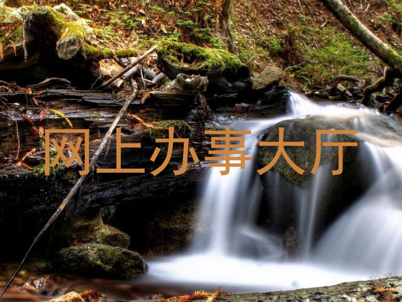 网上办事大厅