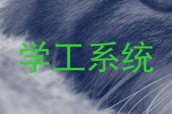 学工系统