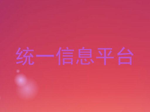 统一信息平台