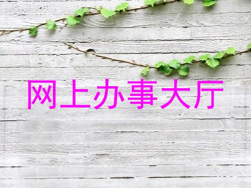 网上办事大厅