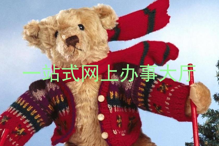 一站式网上办事大厅