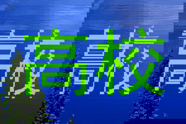高校