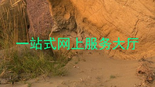 一站式网上服务大厅