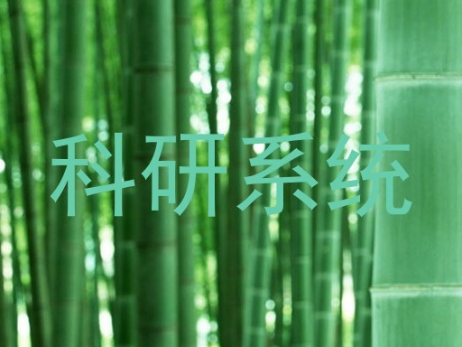 科研系统
