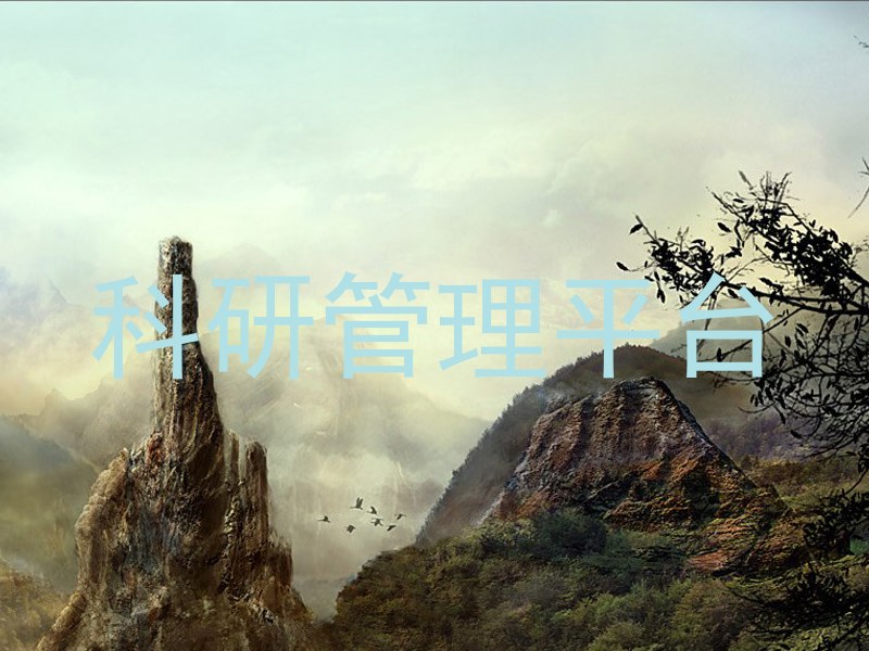 科研管理平台