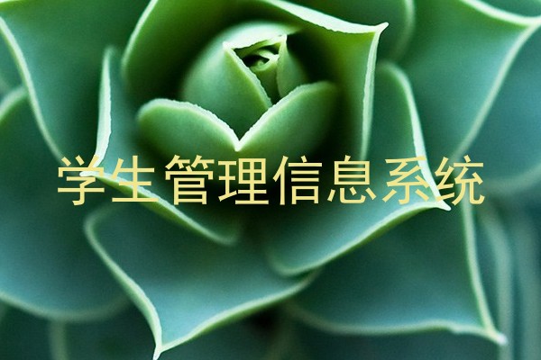学生管理信息系统
