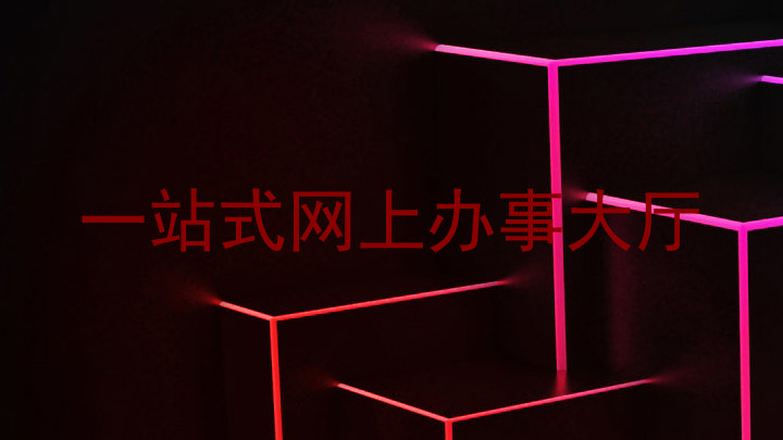 一站式网上办事大厅
