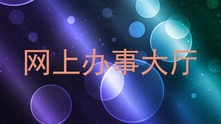 网上办事大厅
