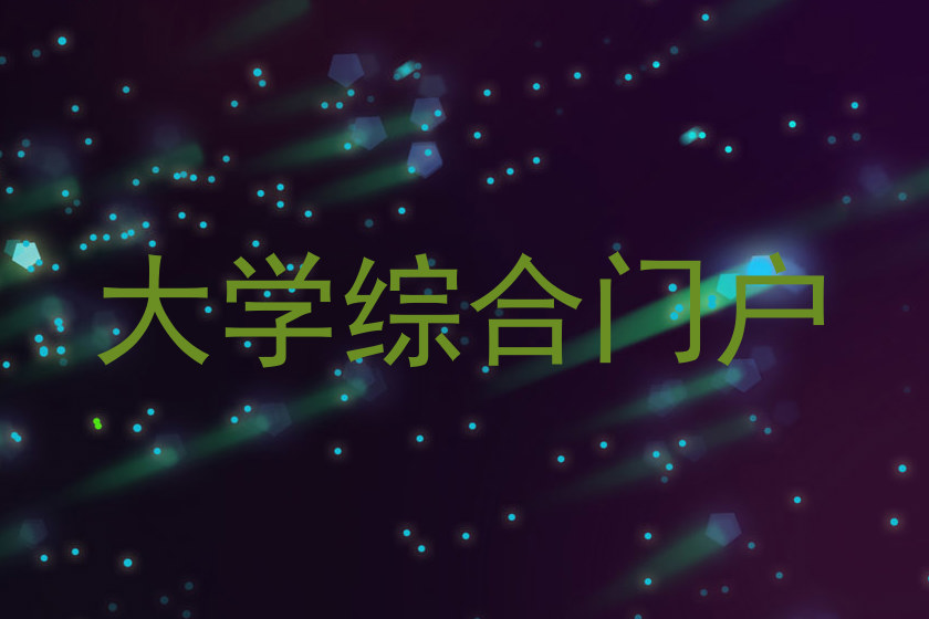 大学综合门户
