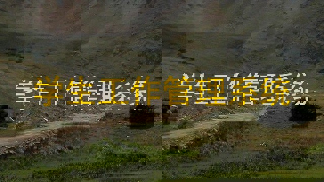 学生工作管理系统