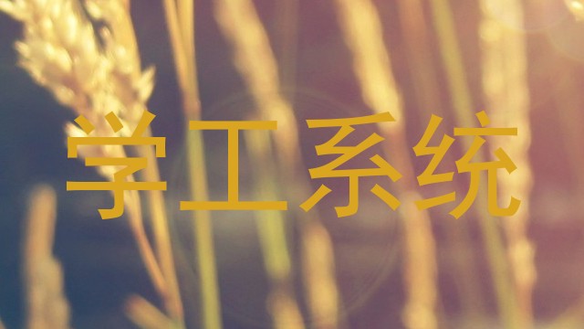 学工系统