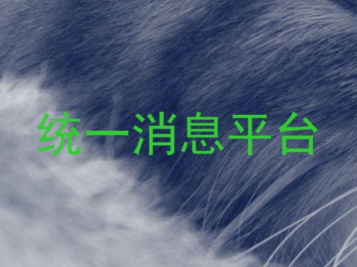 统一消息平台