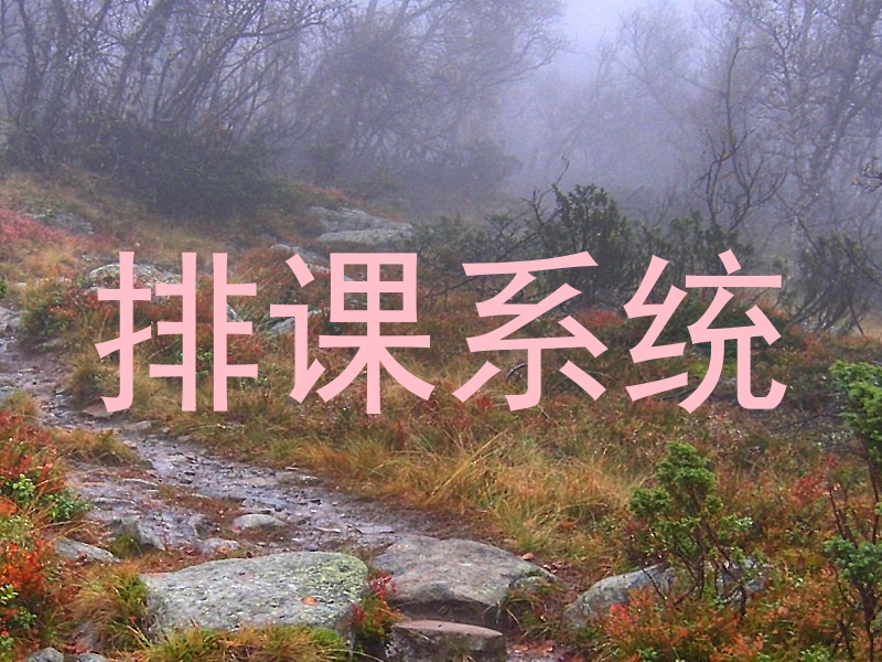 排课系统