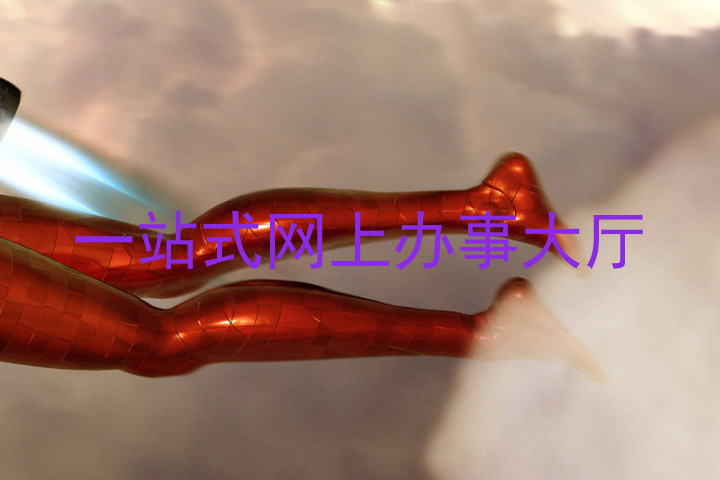一站式网上办事大厅