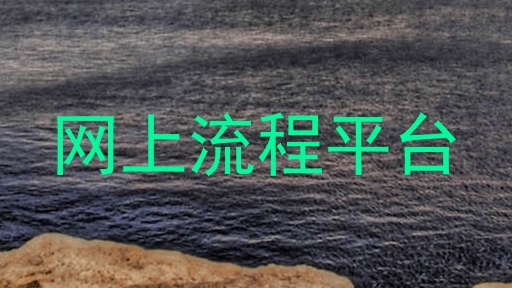 网上流程平台