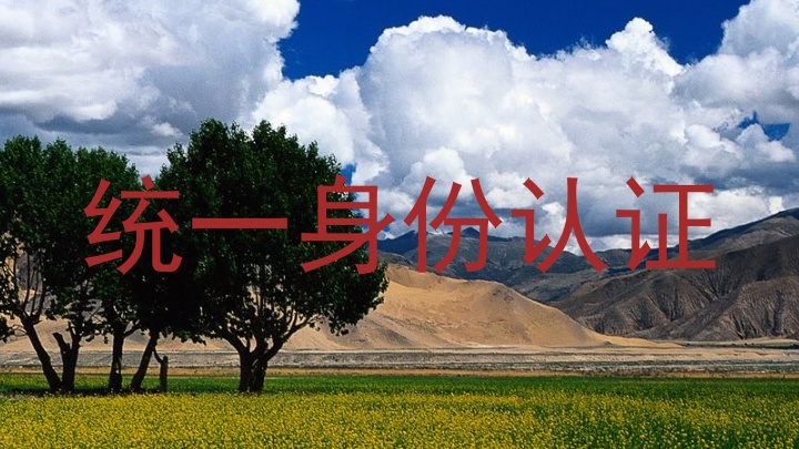 统一身份认证