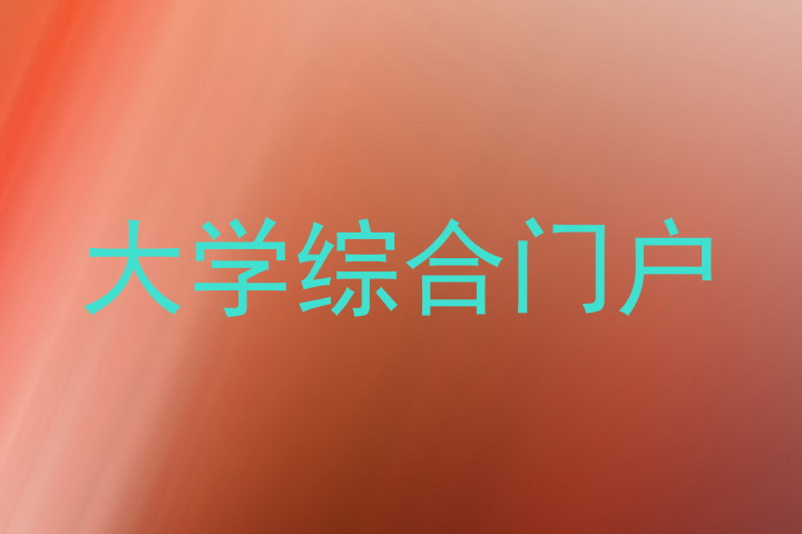 大学综合门户