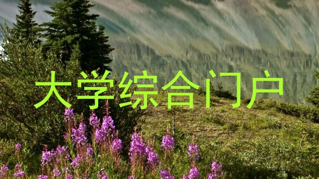 大学综合门户