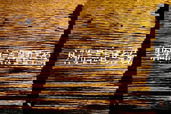 科研信息管理系统