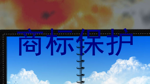 商标保护