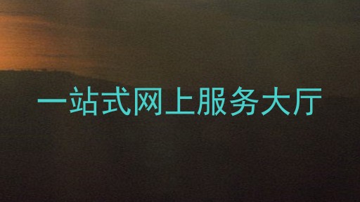 一站式网上服务大厅