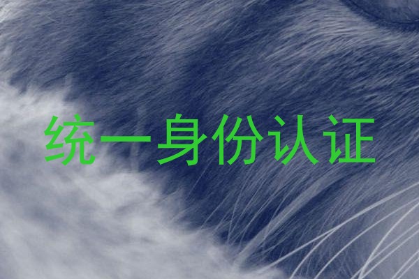 统一身份认证
