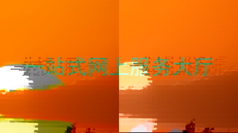 一站式网上服务大厅