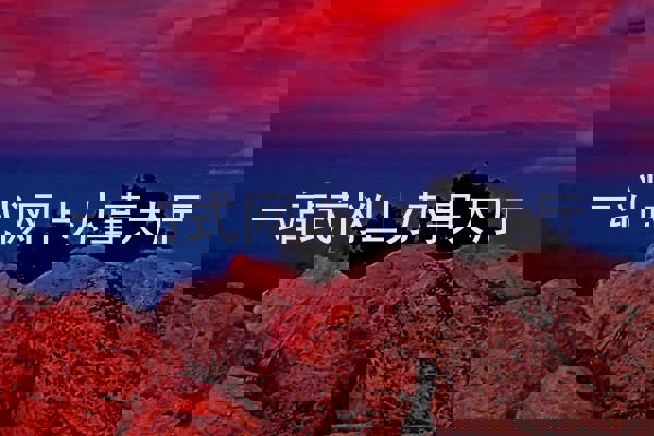 一站式网上办事大厅