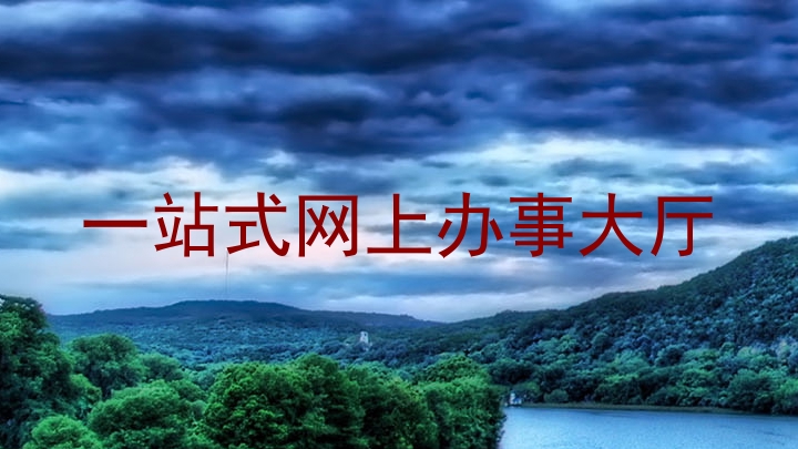 一站式网上办事大厅