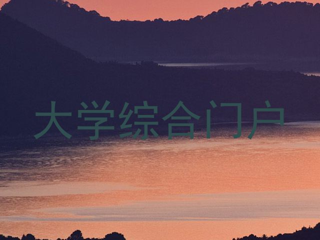 大学综合门户