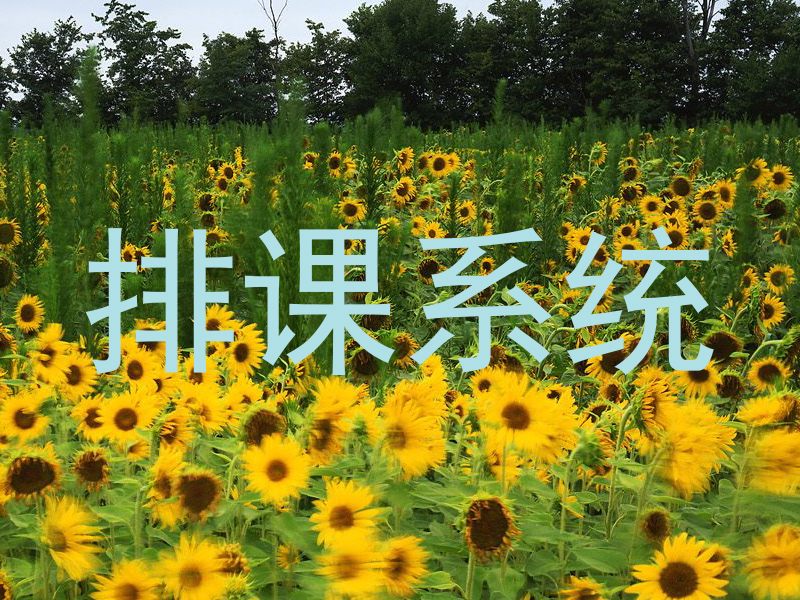 排课系统
