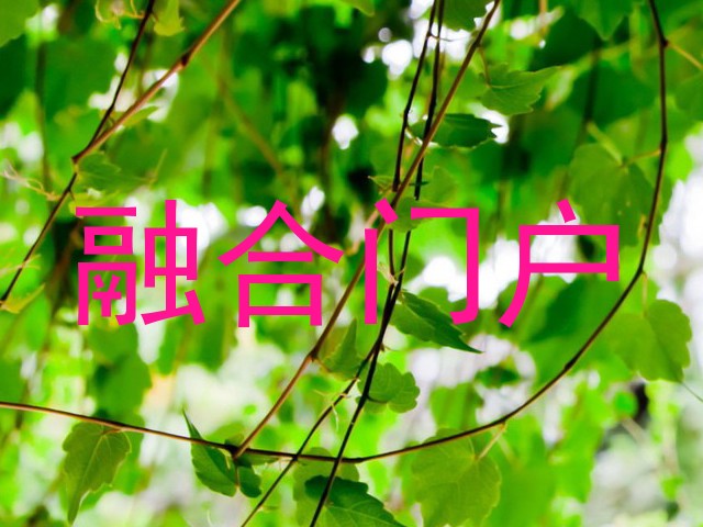 融合门户