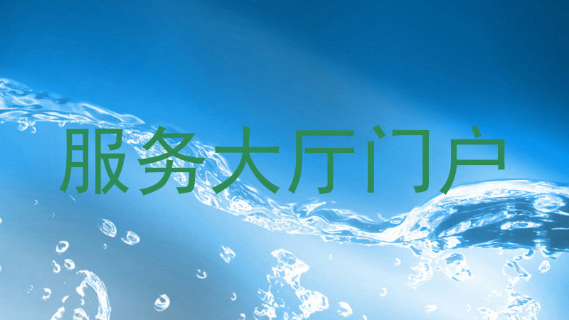 服务大厅门户