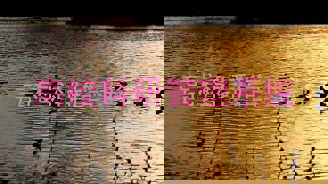 高校科研管理系统