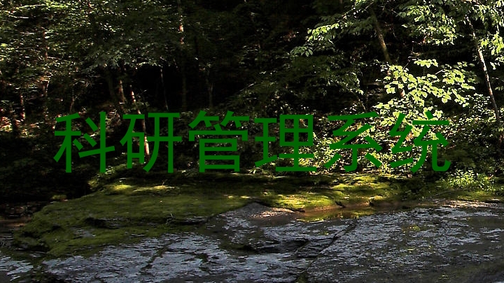 科研管理系统