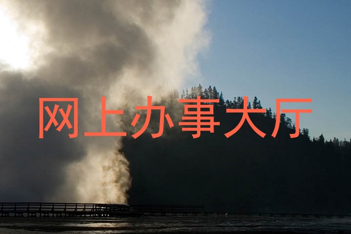 网上办事大厅