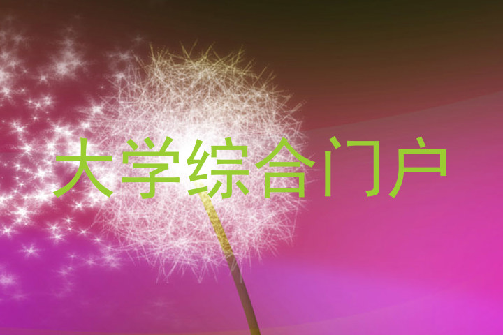 大学综合门户