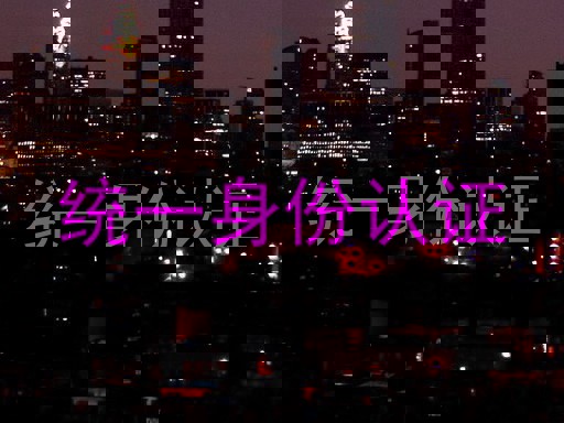 统一身份认证