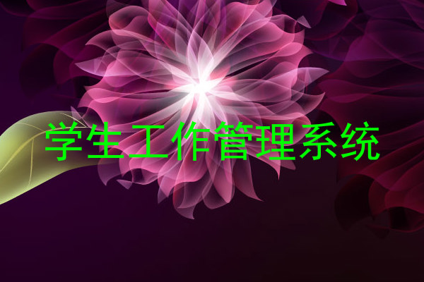 学生工作管理系统