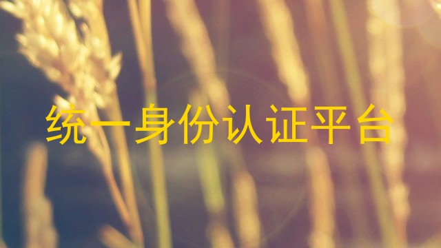 统一身份认证平台