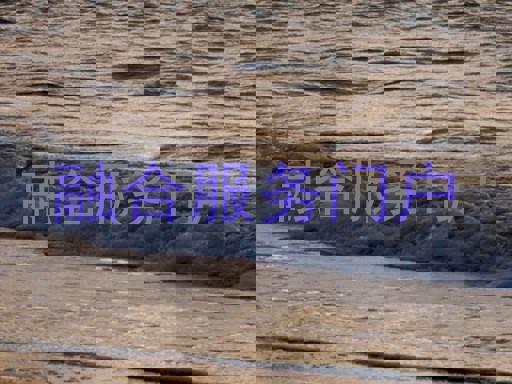 融合服务门户