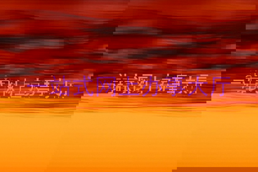 一站式网上办事大厅