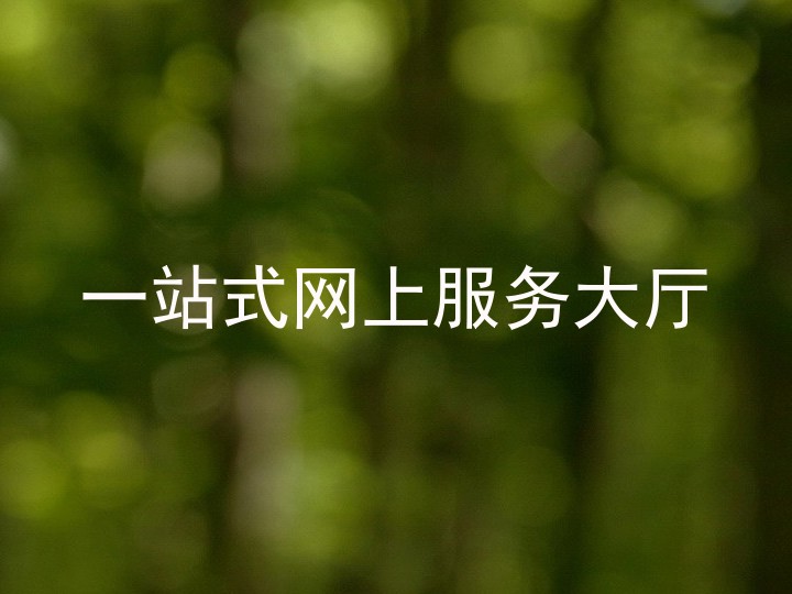 一站式网上服务大厅