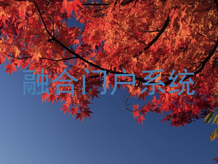 融合门户系统