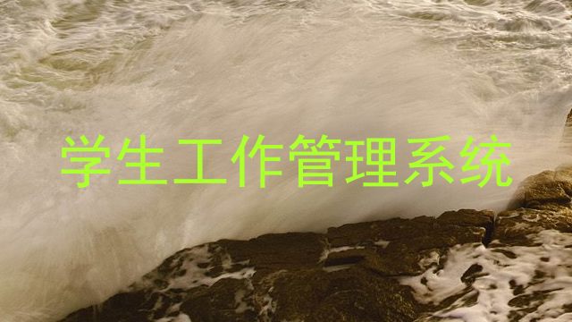 学生工作管理系统