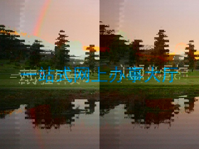 一站式网上办事大厅