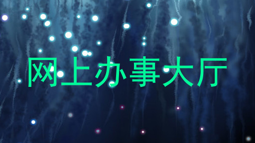 网上办事大厅